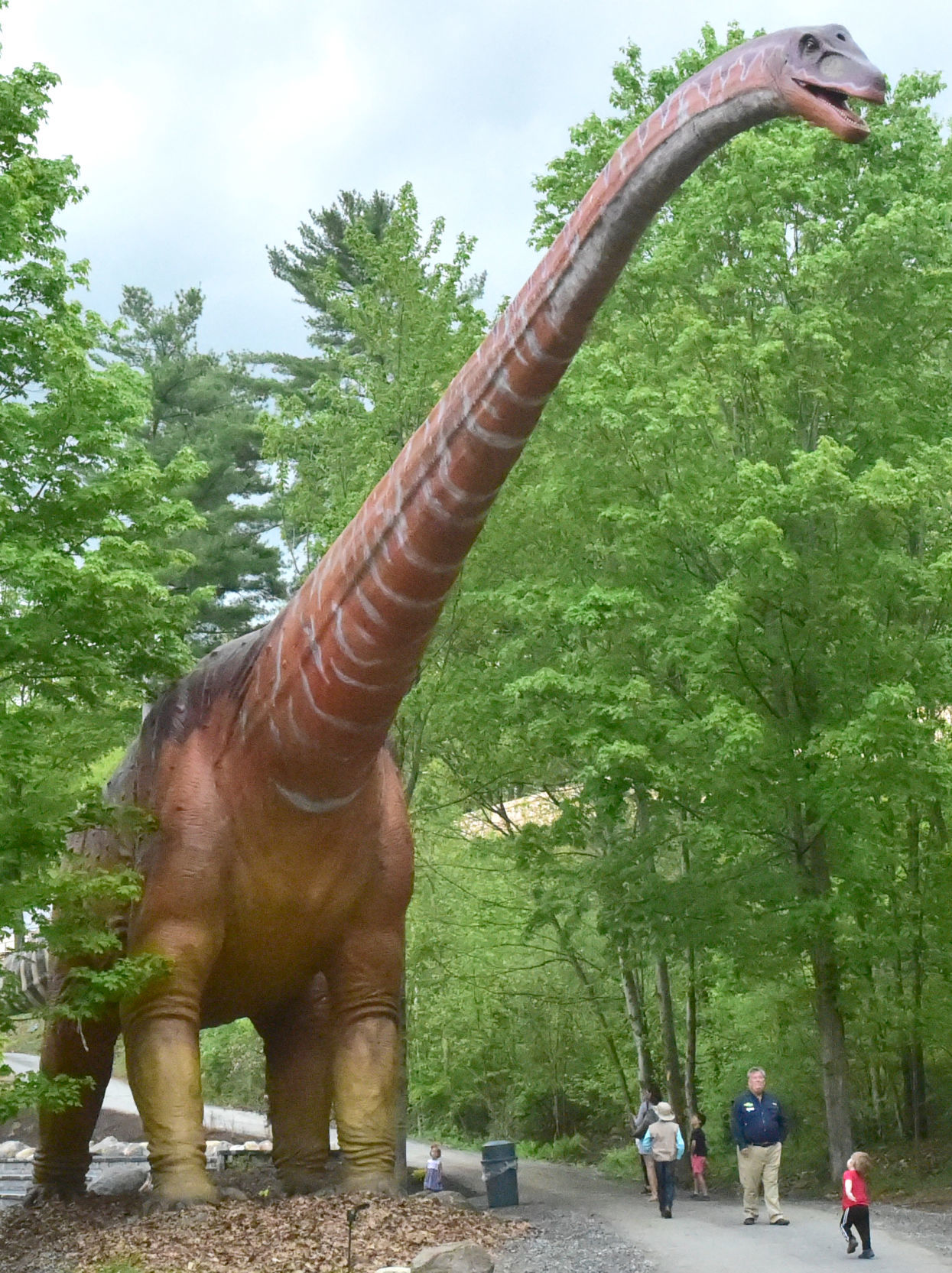 The tallest dino